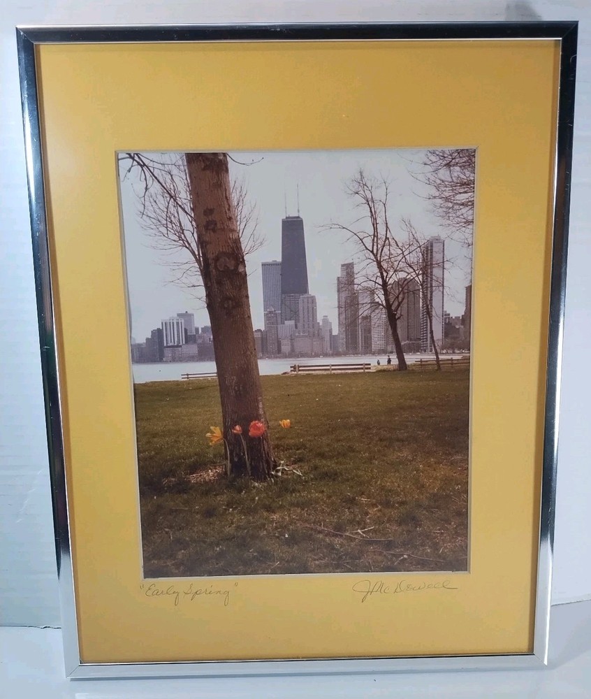 “Early Spring” Chicago Skyline Vintage Photography by J. McDowell Framed Signed