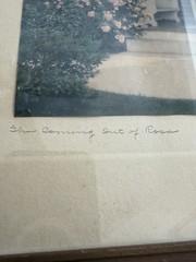 THE COMING OUT OF ROSA Wallace Nutting c. 1910s, CHILD
