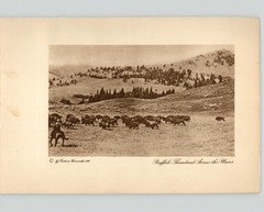 Wanamaker/Dixon “Buffalo Thundered Across the Plains” 1913 Original Photogravure