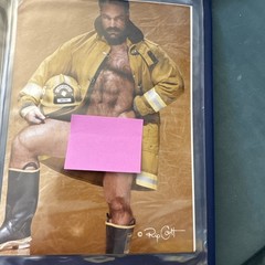 Carl Hardwick Jim French Colt Studio Lot of 18 5×7 Color Prints Nude Gay