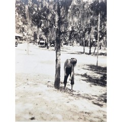 Vintage 1940s Snapshot Girl Pretending Hanging Dark Humor Silver Gelatin Photo