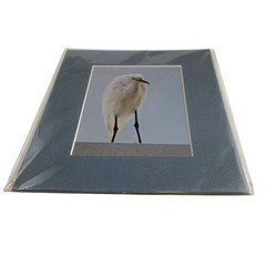 VTG Snowy Egret Bird Photo Art by RCR Cathy Nokomis Florida Blue Matted 6 1/2” H
