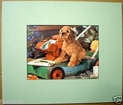 “Nosey Pup” Matted Photo-Copy of 1968 Calendar Art-American Life Insurance Co.
