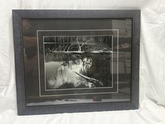 7 Framed & Matted Ansel Adams Prints: Denali, Winter Storm, Siesta, Etc
