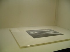 MATTED PHOTOGRAPHY Woman behind tree branch smiling by Larry Santucci 16×20