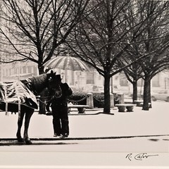RICHARD CALVO Original Vintage Signed Central Park NY Horse Carriage Photograph