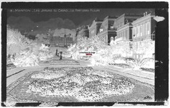 Plate Glass Photo, Negative Black & White 3 1/2×5 1/2in, Menton, Gardens Casino