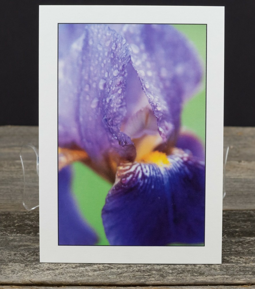 Iris Macro Print, 5×7, Thick Eggshell Texture Matte Paper, Ready to Frame