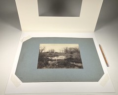 CONSTANT ALEXANDRE FAMIN mounted albumen [Marsh Landscape] Fontainebleau Forest