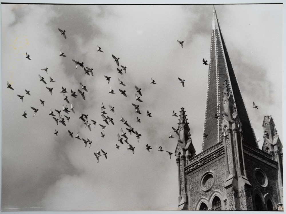 Photo Print Analog, RC France Landscape Scene Bird 18X24cm 1960