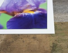 Iris Macro Print, 5×7, Thick Eggshell Texture Matte Paper, Ready to Frame