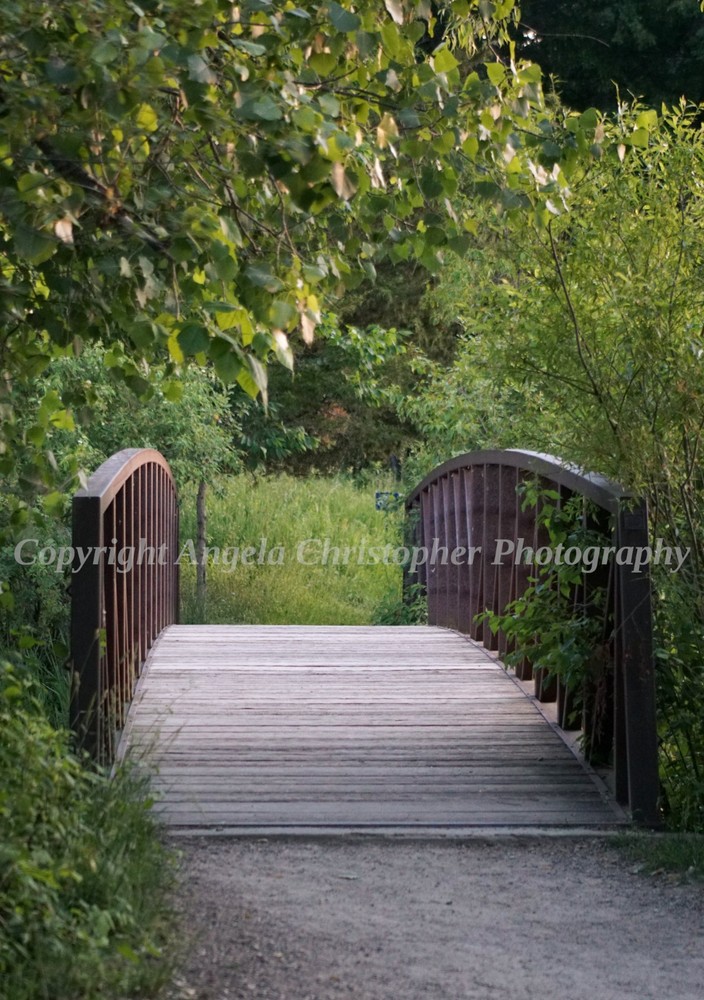 Original ACEO photo fine art print 2.5 x 3.5″ THE PATH bridge woods trees nature