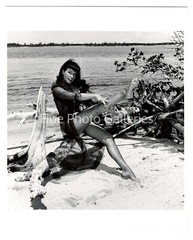 1954 BETTIE PAGE Original Female Nude BUNNY YEAGER Miami FL Key Biscayne Photo
