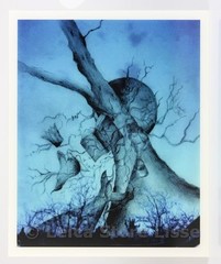 SIGNED DIBOND PICTURE ” DRAWING ” MADE BY TOP MODEL HELENA CHRISTENSEN