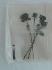 Medical Photography X-Ray Vintage Bouquet Of Roses Alain Pol Kodak