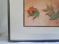 “Birdbath with Leaves” Framed Photograph by Gary Carlson