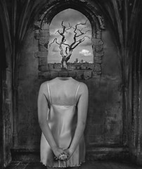 Fine Art B+W Photography Signed Ltd Edition SURREAL Tree of Knowledge in AD 2000