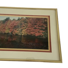 Art Photography Photo Autumn Picture Lake Matted Framed Fall Leaves