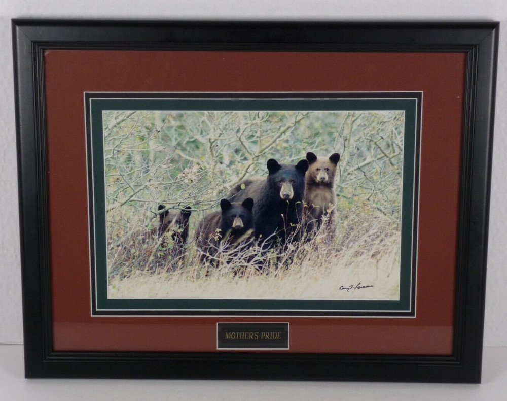 Gerry Lamarre Mothers Pride Brown Bear Family Wildlife Photograph Print Framed