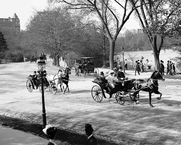 New York City CENTRAL PARK Glossy 8×10 Photo Carriage Print Old Wall Art Poster