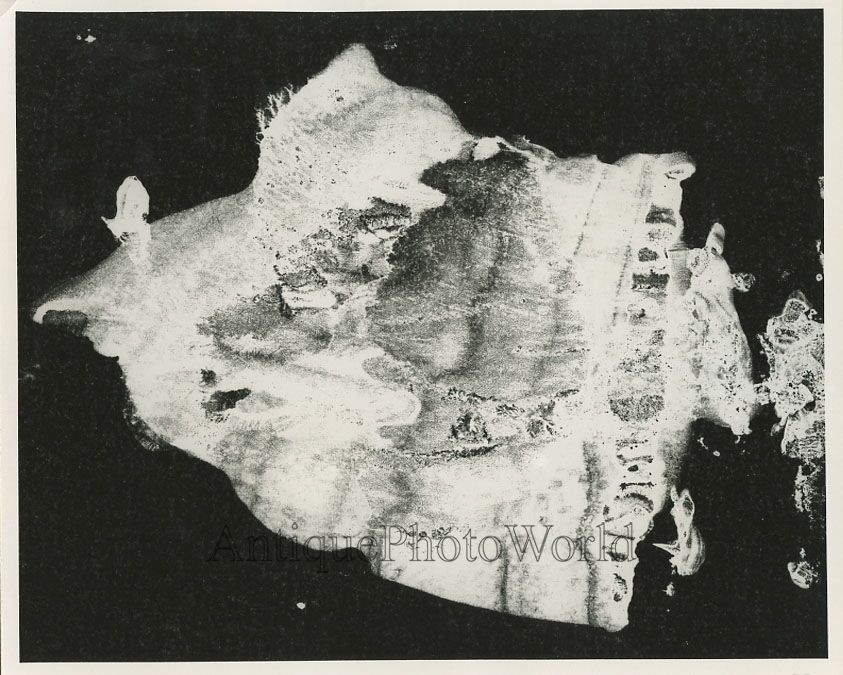 Abastract surreal shape vintage art photo J. Simons