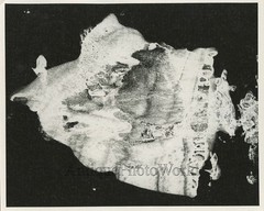 Abastract surreal shape vintage art photo J. Simons