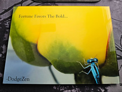 DODGEZEN MOMENTS IN TIME EDITION MY PHOTOGRAPHS PRINTED ON GLASS. INSPIRATIONAL