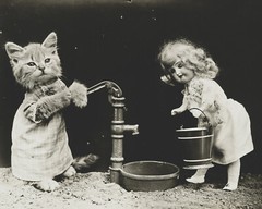 cat kitten kitty art print Harry Whittier Frees 8×10 vintage photo picture #14