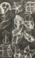 Unique Stitched Print – Cameraless Dark Room Photography 24 x 40 Inches