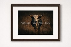 The Stare Of The Steer Photography Print Cattle Rustic Farm Golden Hour