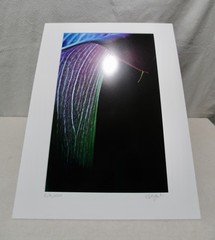 Original Photography Art Print “Calla”