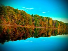 fine art photographs nature