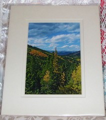 PHOTO ART JUNIPER PASS ARAPAHO NAT FOREST CO 5X7 MATTED 8X10 SIGNED #7/250