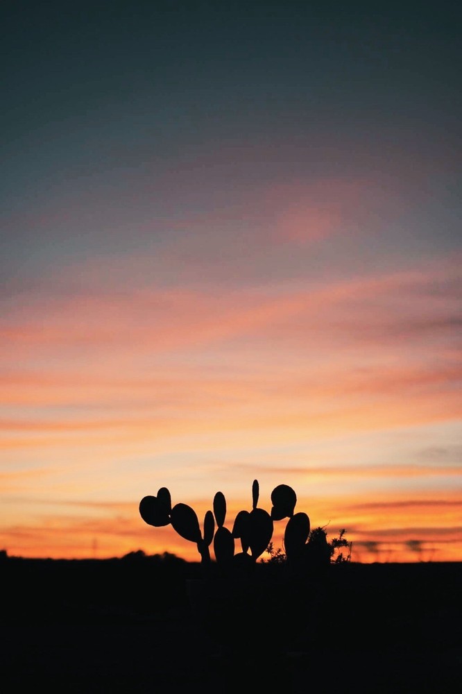 Desert photo silhouette sunsetPrint (DIGITAL DOWNLOAD) NO FRAME