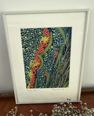 Signed Framed Botanical Berry Photograph Nature Wall Art Modern Colorful