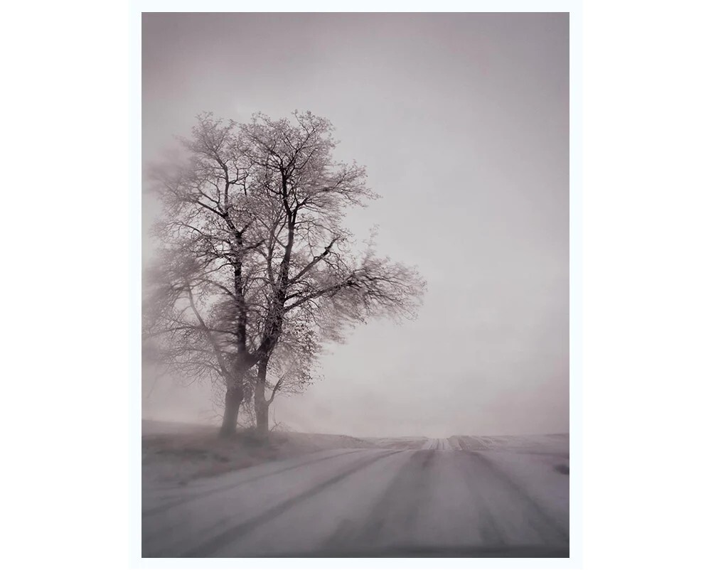 TODD HIDO 8X10 ARCHIVAL PRINT HAND SIGNED SILVER MEADOWS