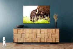 Buffalo Photography Prints – Great Plains Bison Wall Art – Midwest Decor