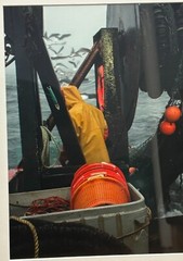 Original SAM MURFITT ‘ Maine Lobsterman Fisherman Pulling Nets’ BOAT Photograph