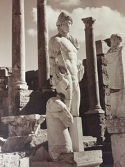 Large Greek Ruins Sepia Photo Print On Art Board 16 X 23 #3