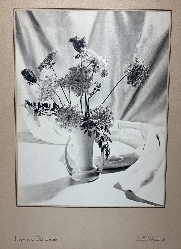 Vintage 1952 Original H.B Woodling “Ivory & Old Lace” Still Life Photograph