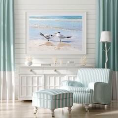 Birds on the Beach Photo, Siesta Key Photography Wall Art Beach House, Wildlife