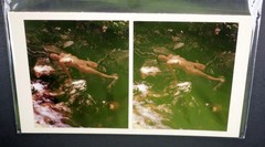 Boris Starosta 3D Stereoview – Maia C 312 – nude model signed 2012