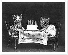 1914 Cats With Birthday Cake Harry Whittier Frees Silver Halide Photo