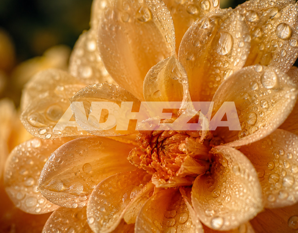 Digital Image Picture Photo Wallpaper Background Desktop AI Art Sample Product