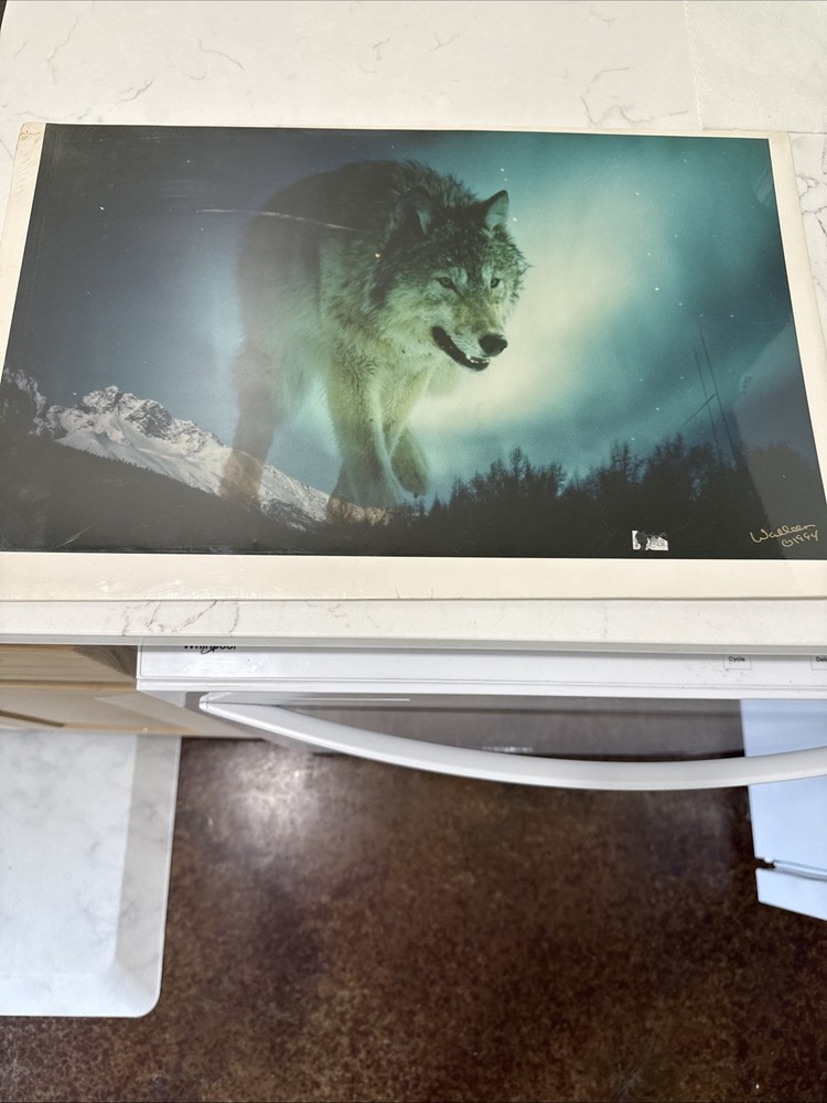 Signed 1994 Sharon Lyn Walleen Photograph Of Northern Lights w/ Wolf-New Sealed