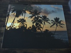 HAWAII SUNRISE PALM TREES 16 x 20 LIMITED EDITION METALLIC FINISH PHOTO 1 of 100