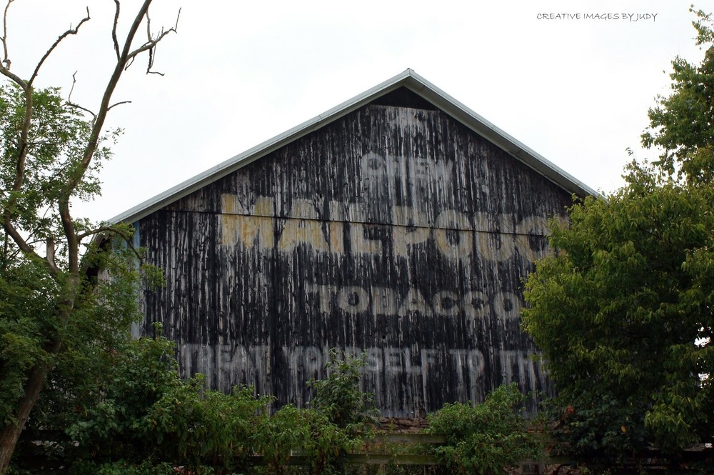 “I Framed Mail Pouch” Mail Pouch Barn Wall Art