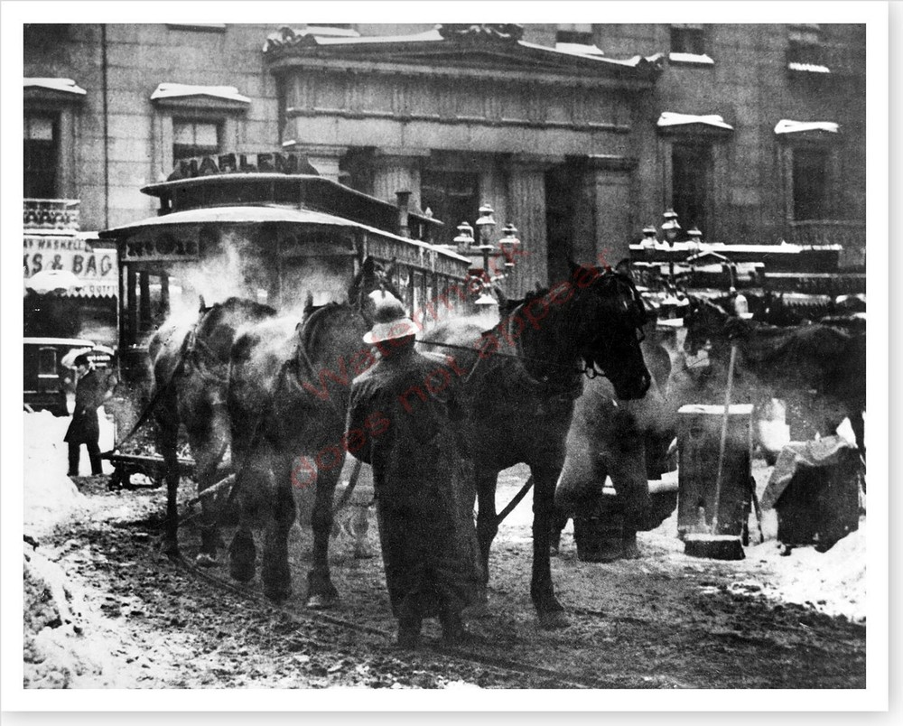 Harlem New York City Horse Drawn Trolley Car At Terminal Silver Halide Photo