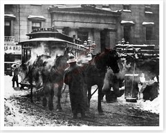 Harlem New York City Horse Drawn Trolley Car At Terminal Silver Halide Photo