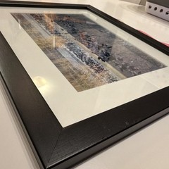 Laurie Eastely “Flyout” Finley Wildlife Refuge Birds 14 x 18 Framed Photograph